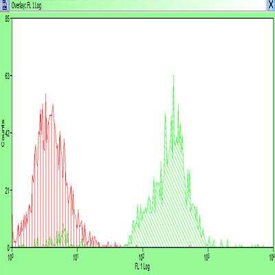 Flow Cytometry: LYVE1 Antibody [DyLight 488] [NB100-725G] - Unlabeled control with labeled samples of cells dissociated mechanically and enzymatically from human skin. Image provided via product review by Patricia Redondo.